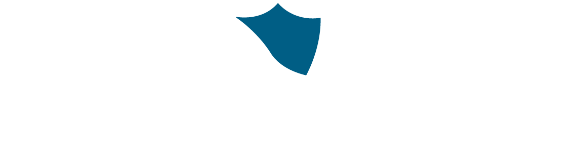 logo smart shield